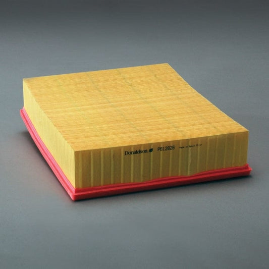 Donaldson Air Filter, Panel Engine - Donaldson P612826