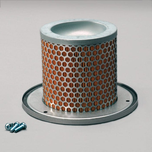 Donaldson Air Filter, Safety - Donaldson P783501