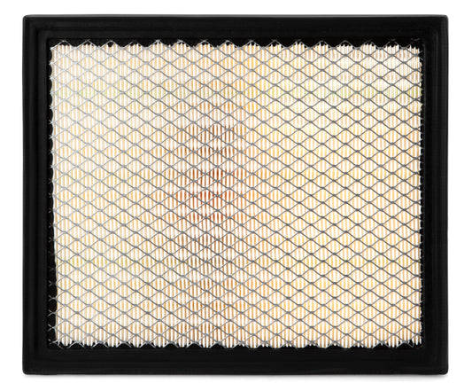 Fleetguard Air Filter - Panel