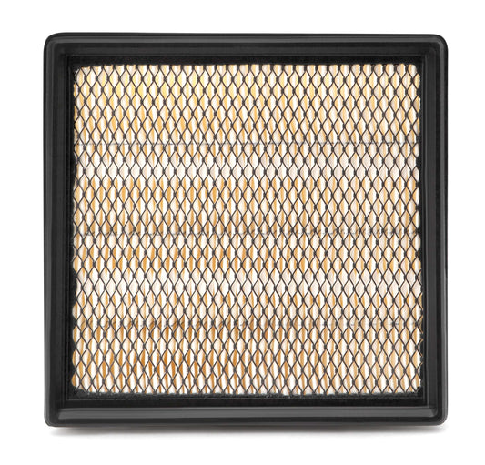 Fleetguard Air Filter - Panel